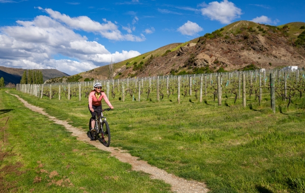 Biking Gibbston Valley Wineries Trail 1