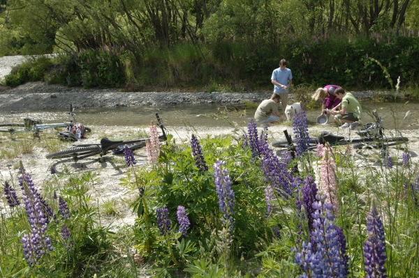 Queenstown Trail Panning for gold on Arrow River Arrow River Bridges Ride 2009 credit Jim Pollard Goes Click