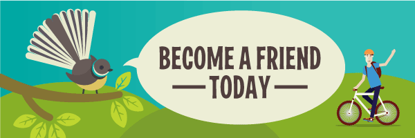 become a friend today image2